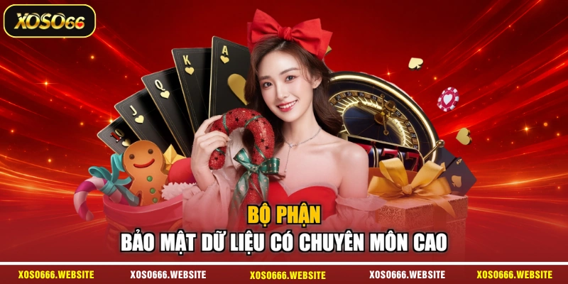 Bộ phận bảo mật dữ liệu có chuyên môn cao