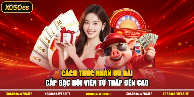 Cách thức nhận ưu đãi cấp bậc hội viên từ thấp đến cao