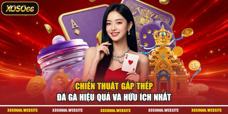 Chiến Thuật Gấp Thếp Đá Gà Hiệu Quả Và Hữu Ích Nhất