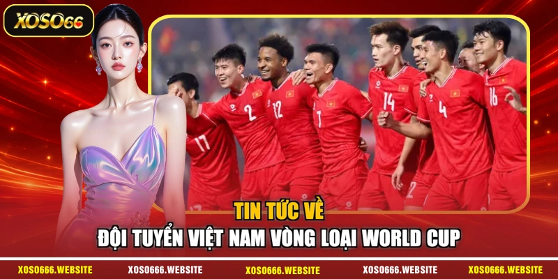 Tin tức về đội tuyển Việt Nam vòng loại World Cup
