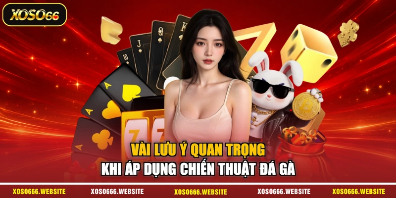 Vài lưu ý quan trọng khi áp dụng chiến thuật đá gà